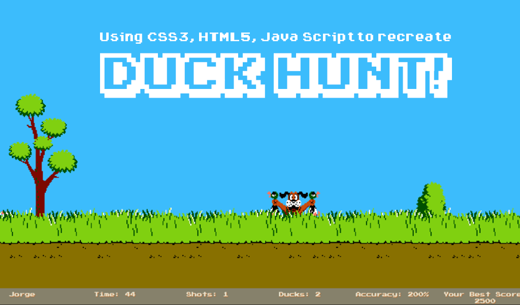 Duck Hunt