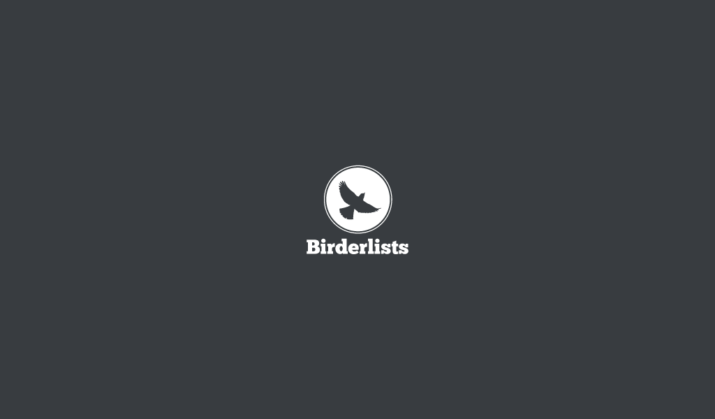 Created an App for birders similar to face book. Intergrated Google Maps API to display bird sightings. Custom PHP, MySQL build.
Fully Responsive, custom mobile UI.